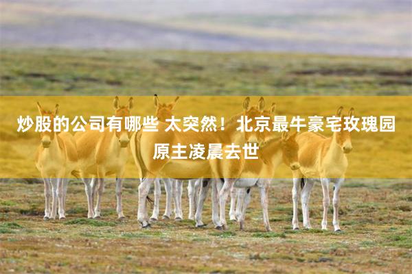 炒股的公司有哪些 太突然！北京最牛豪宅玫瑰园原主凌晨去世