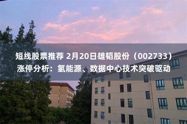 短线股票推荐 2月20日雄韬股份（002733）涨停分析：氢能源、数据中心技术突破驱动