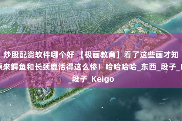炒股配资软件哪个好 【极画教育】看了这些画才知道，原来鳄鱼和长颈鹿活得这么惨！哈哈哈哈_东西_段子_Keigo