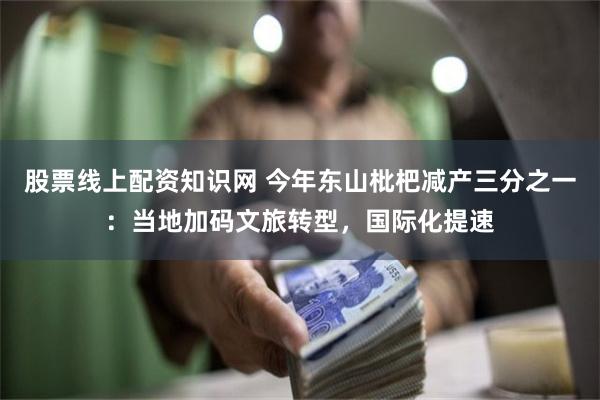 股票线上配资知识网 今年东山枇杷减产三分之一：当地加码文旅转型，国际化提速