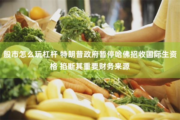 股市怎么玩杠杆 特朗普政府暂停哈佛招收国际生资格 掐断其重要财务来源