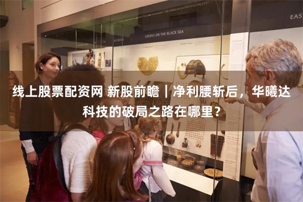 线上股票配资网 新股前瞻｜净利腰斩后，华曦达科技的破局之路在哪里？
