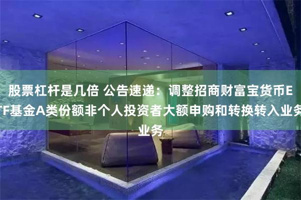 股票杠杆是几倍 公告速递：调整招商财富宝货币ETF基金A类份额非个人投资者大额申购和转换转入业务