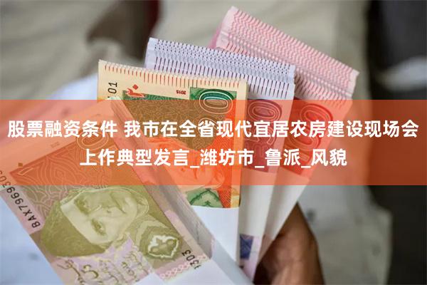 股票融资条件 我市在全省现代宜居农房建设现场会上作典型发言_潍坊市_鲁派_风貌