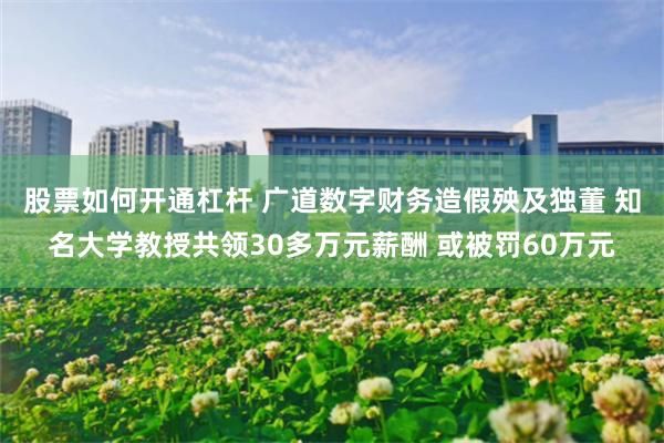 股票如何开通杠杆 广道数字财务造假殃及独董 知名大学教授共领30多万元薪酬 或被罚60万元