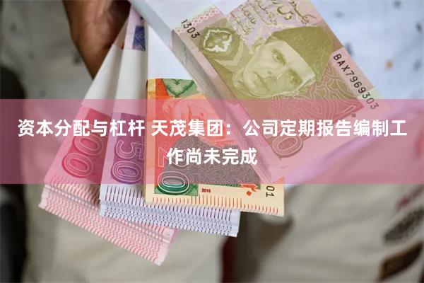 资本分配与杠杆 天茂集团：公司定期报告编制工作尚未完成