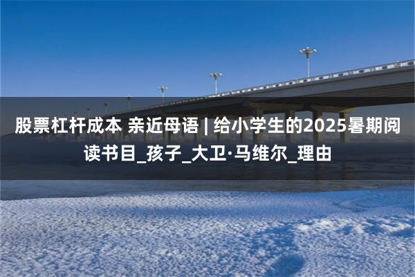 股票杠杆成本 亲近母语 | 给小学生的2025暑期阅读书目_孩子_大卫·马维尔_理由