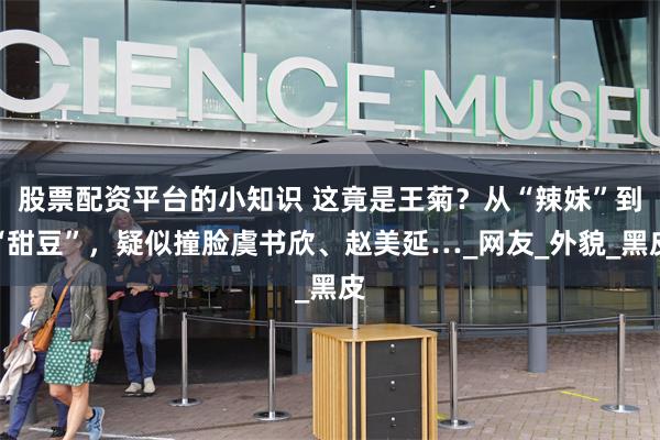 股票配资平台的小知识 这竟是王菊？从“辣妹”到“甜豆”，疑似撞脸虞书欣、赵美延…_网友_外貌_黑皮